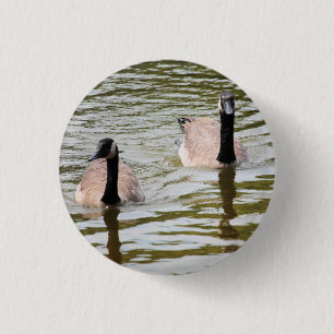 Bóton Redondo 2.54cm Geese