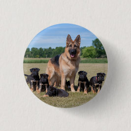 Bóton Redondo 2.54cm German shepherd personalizável com uppies adaptáve