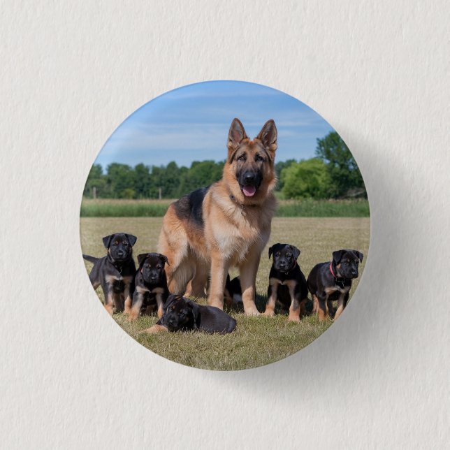Bóton Redondo 2.54cm German shepherd personalizável com uppies adaptáve (Frente)