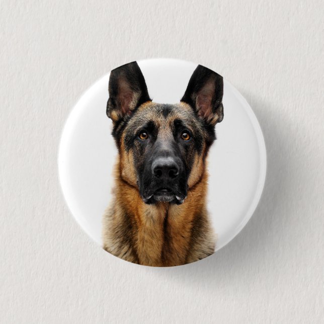 Bóton Redondo 2.54cm German shepherd Sentado (Frente)