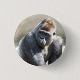Bóton Redondo 2.54cm Gorilla Crachá