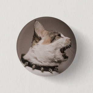 Bóton Redondo 2.54cm Gritando com o Calico Cat Pin