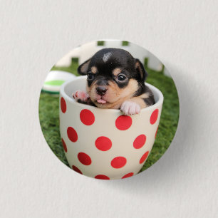 Bóton Redondo 2.54cm HAMbWG - botão quadrado - filhote de cachorro do