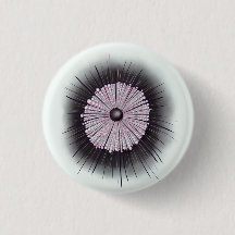 Heliozoa Microbiology Digital Art