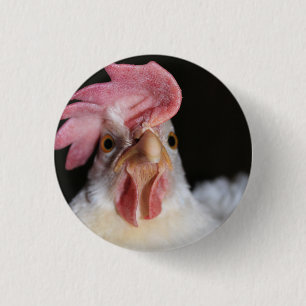 Bóton Redondo 2.54cm Hen