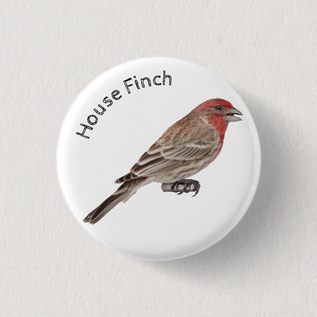 Bóton Redondo 2.54cm House Finch (Frente)