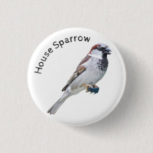 Bóton Redondo 2.54cm House Sparrow