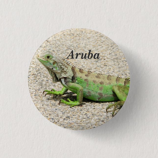 Bóton Redondo 2.54cm Iguana verde de Aruba (Frente)