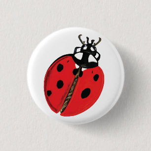 Bóton Redondo 2.54cm Ilustração Lady Bug