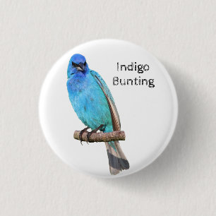 Bóton Redondo 2.54cm Indigo Bunting