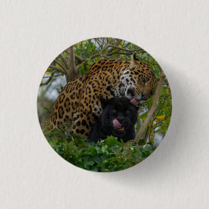 Bóton Redondo 2.54cm Jaguares No Amor Prata