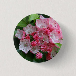 Bóton Redondo 2.54cm Kalmias em forma de estrela