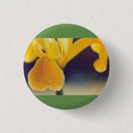 Bóton Redondo 2.54cm Lily amarela