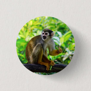 Bóton Redondo 2.54cm Macaco de esquilo bonito