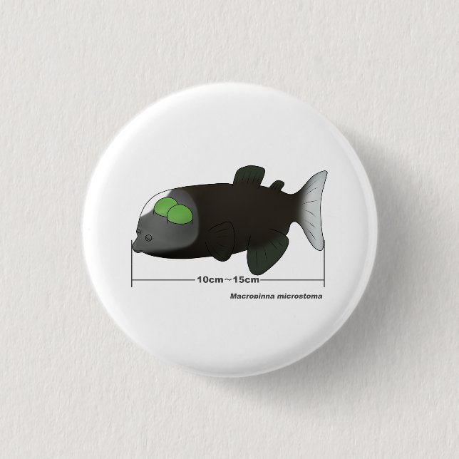 Bóton Redondo 2.54cm Macropinna microstoma actual size (Frente)