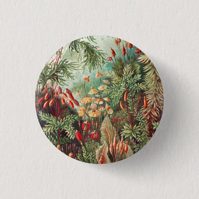 Bóton Redondo 2.54cm Mosses, Muscinae Laubmoose by Ernst Haeckel (Frente)