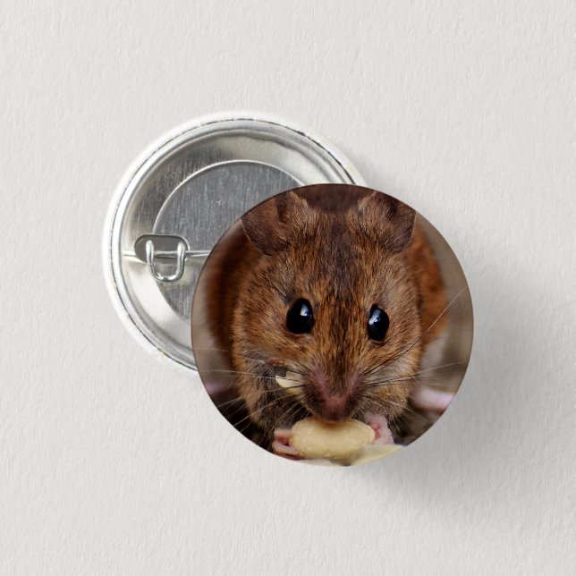 Bóton Redondo 2.54cm Mouse Brown Comendo amendoim Fechado (Frente & Verso)
