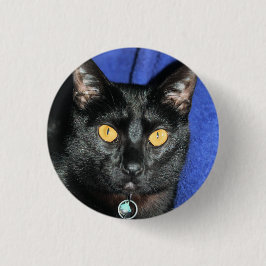 Bóton Redondo 2.54cm Murphy