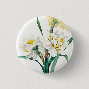 Bóton Redondo 2.54cm Narciso Duplo, Pierre-Joseph Redouté, 1827