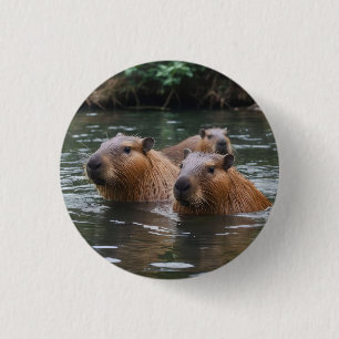 Bóton Redondo 2.54cm Natação dos Capybaras no Rio,