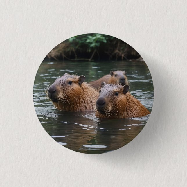 Bóton Redondo 2.54cm Natação dos Capybaras no Rio,  (Frente)