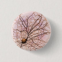 Neurônio de Hippocampal - botão & Pin
