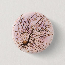 Bóton Redondo 2.54cm Neurônio de Hippocampal - botão & Pin