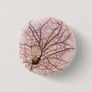 Bóton Redondo 2.54cm Neurônio de Hippocampal - botão & Pin