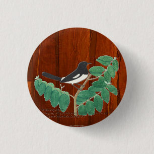 Bóton Redondo 2.54cm Oriental Magpie-Robin