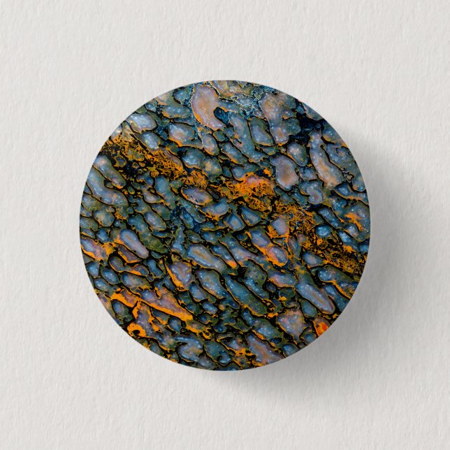 Bóton Redondo 2.54cm Osso do Dinossauro Petrificado (Frente)