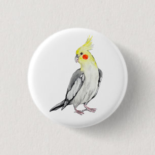 Bóton Redondo 2.54cm Papagaio Cockatiel de Cores Aquáticas.