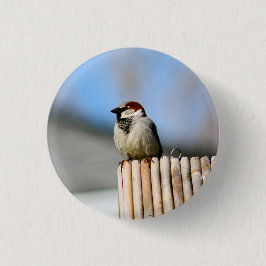Bóton Redondo 2.54cm Pássaro