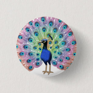 Bóton Redondo 2.54cm Peacock Colorido