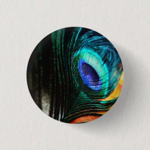 Bóton Redondo 2.54cm Peakcock Feather de perto e pessoal