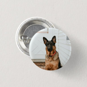 Bóton Redondo 2.54cm Pet Photo Picto Upload Personalizado Cute Adorável