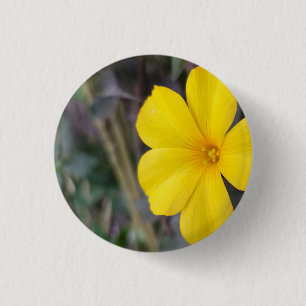 Bóton Redondo 2.54cm Pino Floral Sunny para Artesanatos e acessórios DI