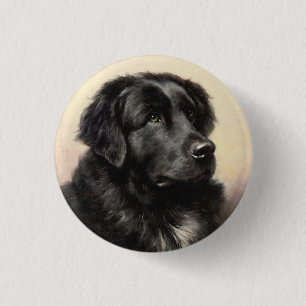 Bóton Redondo 2.54cm Pintura realista do cão da Terra Nova
