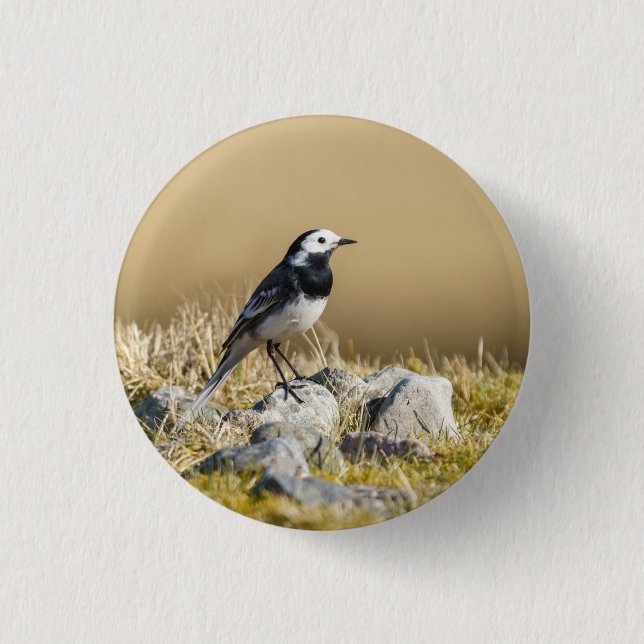 Bóton Redondo 2.54cm Posing Wagtail (Frente)