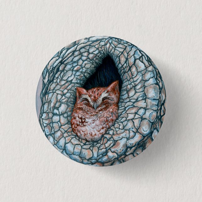 Bóton Redondo 2.54cm Pouco Owlette (Frente)