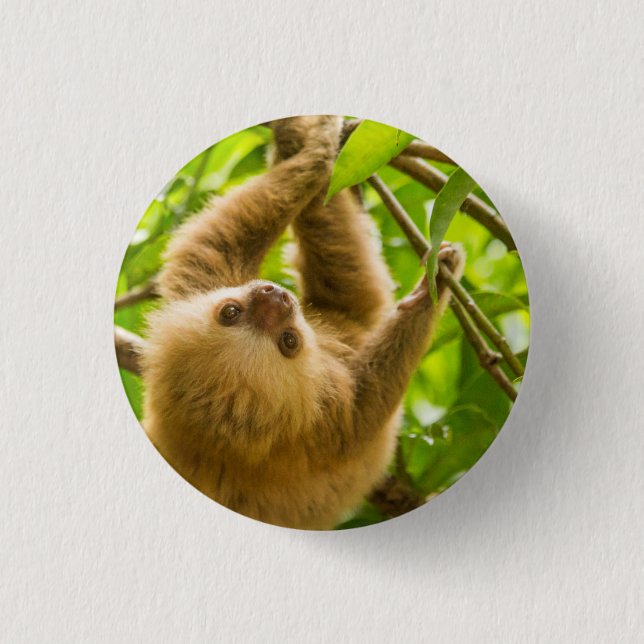 Bóton Redondo 2.54cm Preguiça de cabeça para baixo das imagens | de (Frente)