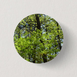 Bóton Redondo 2.54cm Primavera Maple Deixa a natureza