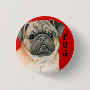 Bóton Redondo 2.54cm Pug Color Block