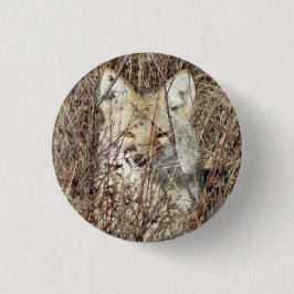 Bóton Redondo 2.54cm R21 Coyote Te Assistindo
