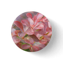 Ramificações bonito rosa