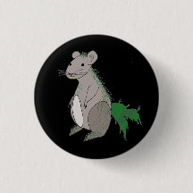 Rato de Musgo