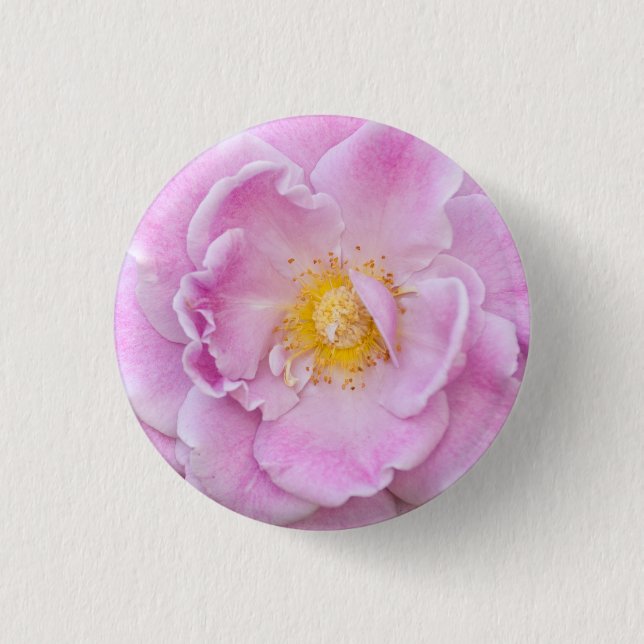 Bóton Redondo 2.54cm Rosa Briar (Frente)