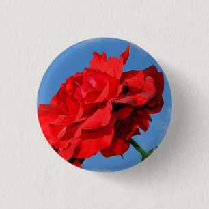 Bóton Redondo 2.54cm Rosa Don Juan rosa com um céu azul