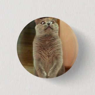 Bóton Redondo 2.54cm Shhhhh