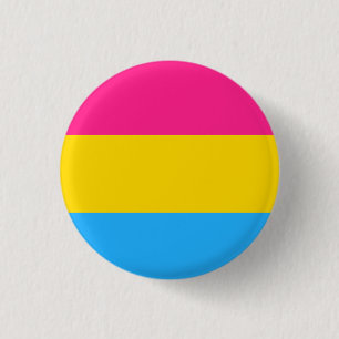 Bóton Redondo 2.54cm Sinalizador Pansexual