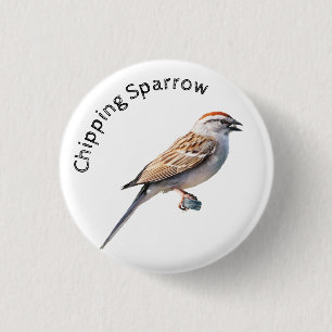 Bóton Redondo 2.54cm Sparrow de chipset